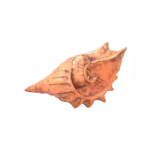 Conch v1 003