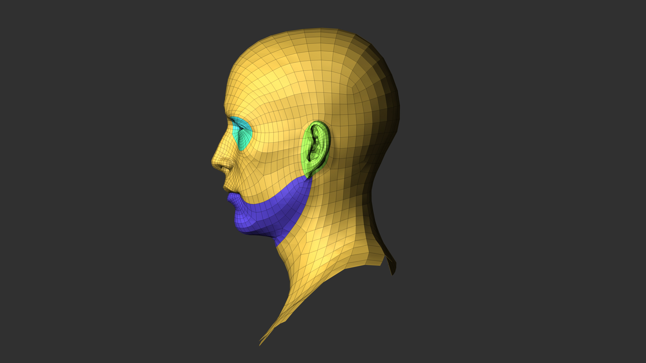 Male Head 3D Base Mesh Realistic with Free Skin pores Burshes Low-poly 3D model_7