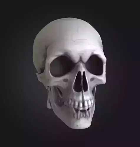 skull dark gritty death skeleton
