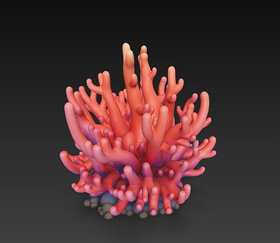 Reef Coral Realistic 3D Model Basic - Low Poly Realistic Low-poly 3D model