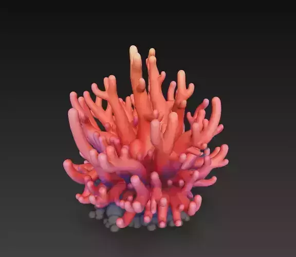 Reef Coral Realistic 3D Model Basic - Low Poly Realistic