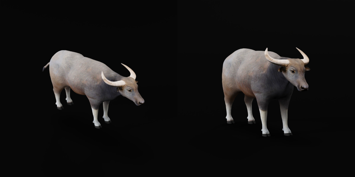 River Buffalo Low-poly 3D model_36