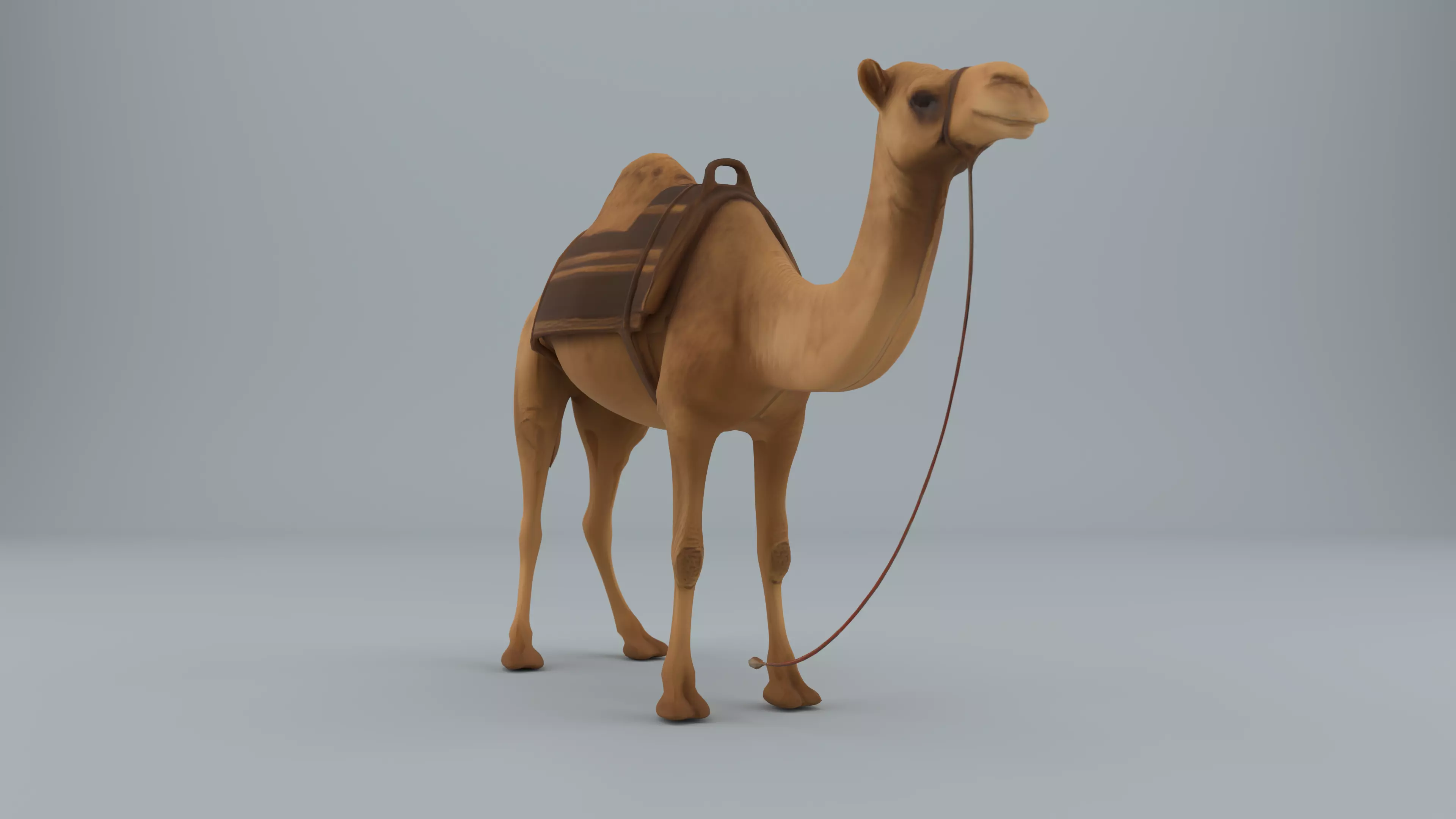 Bedouin Desert Tent Majlis with Camel 3D model_7