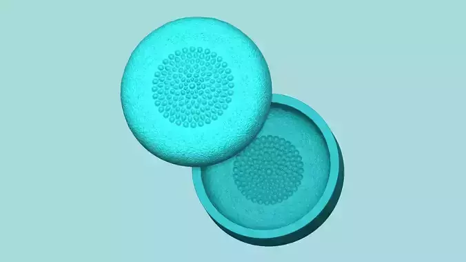 Sunflower Center 07 - Silicone Mold Maker - Template 3D print model