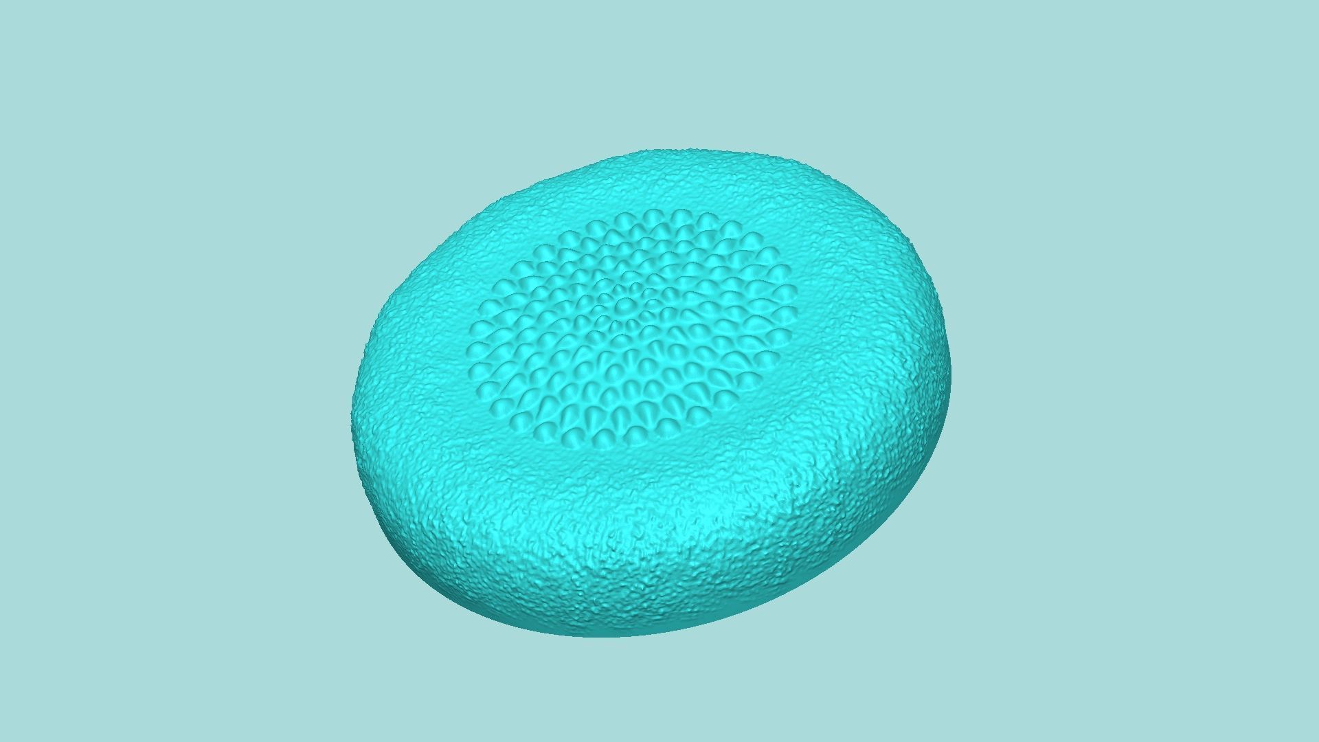 Sunflower Center 07 - Silicone Mold Maker - Template 3D print model_2