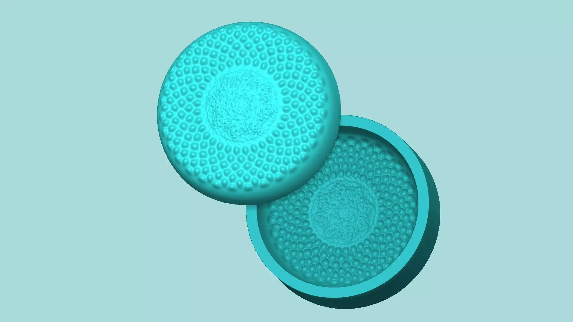 Sunflower Center 04 - Silicone Mold Maker - Template 3D print model_0