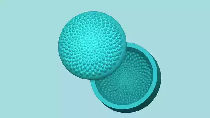 Sunflower Center 03 - Silicone Mold Maker - Template 3D print model