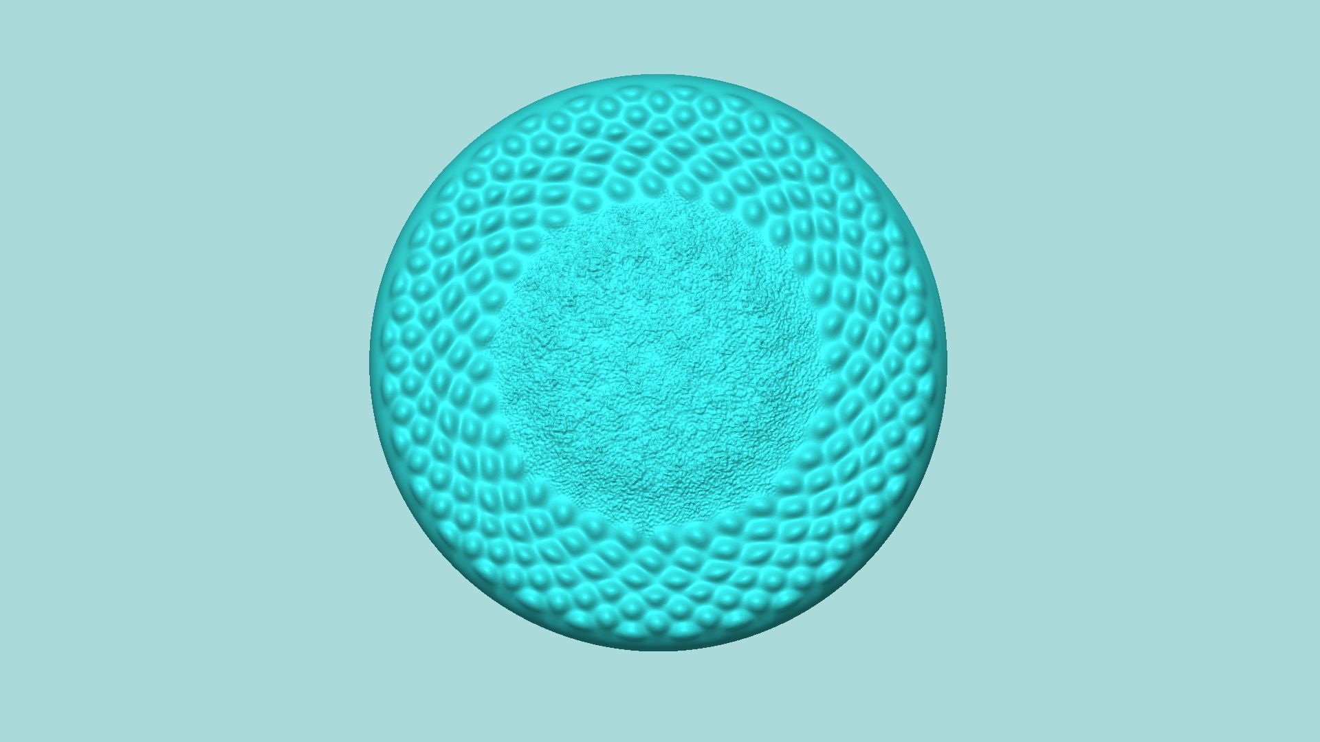 Sunflower Center 02 - Silicone Mold Maker - Template 3D print model_1