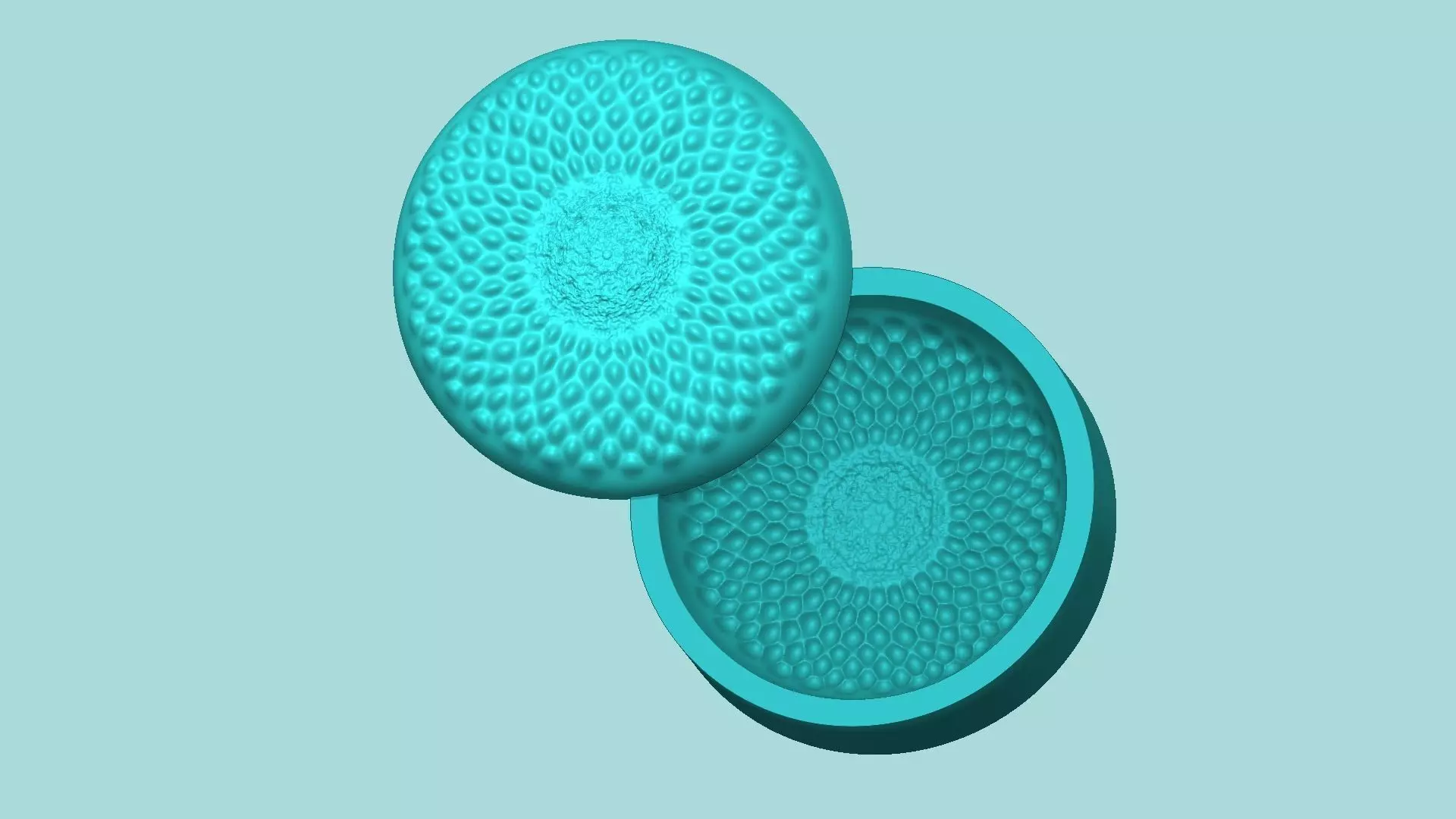 Sunflower Center 01 - Silicone Mold Maker - Template 3D print model_0