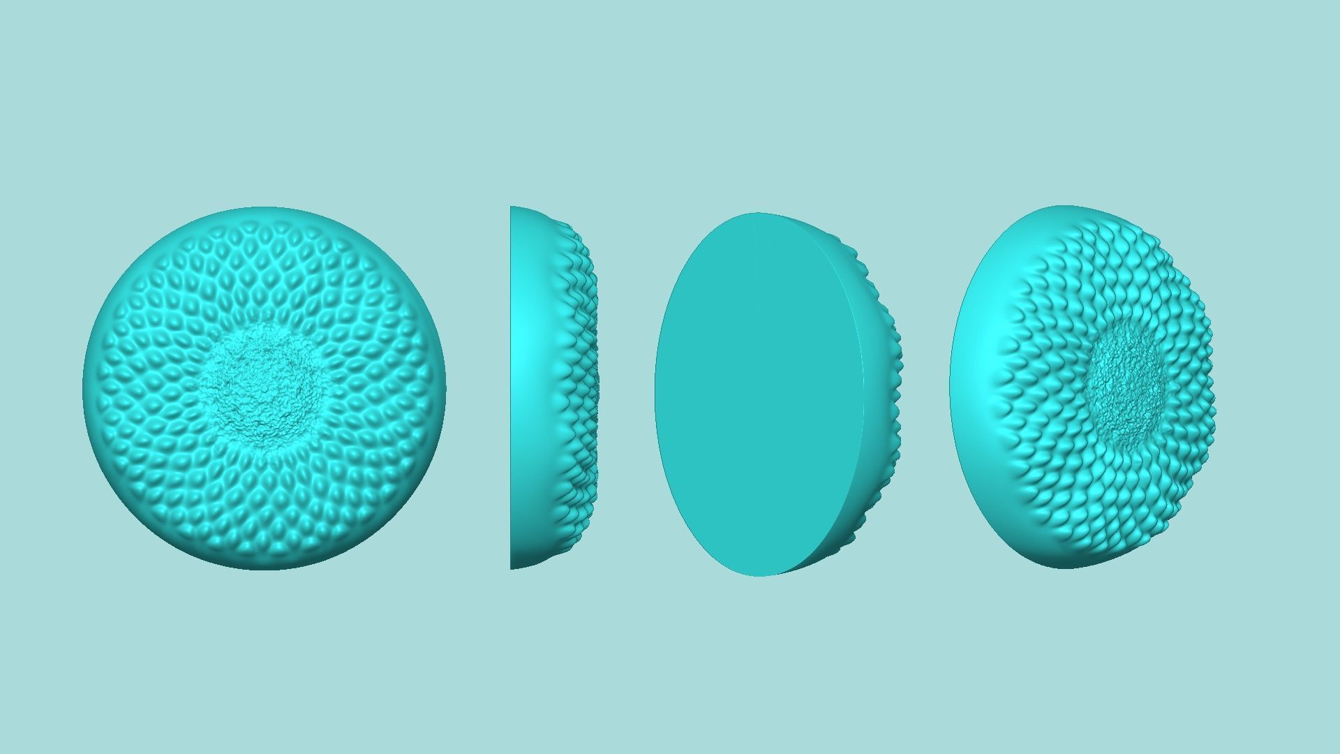 Sunflower Center 01 - Silicone Mold Maker - Template 3D print model_8
