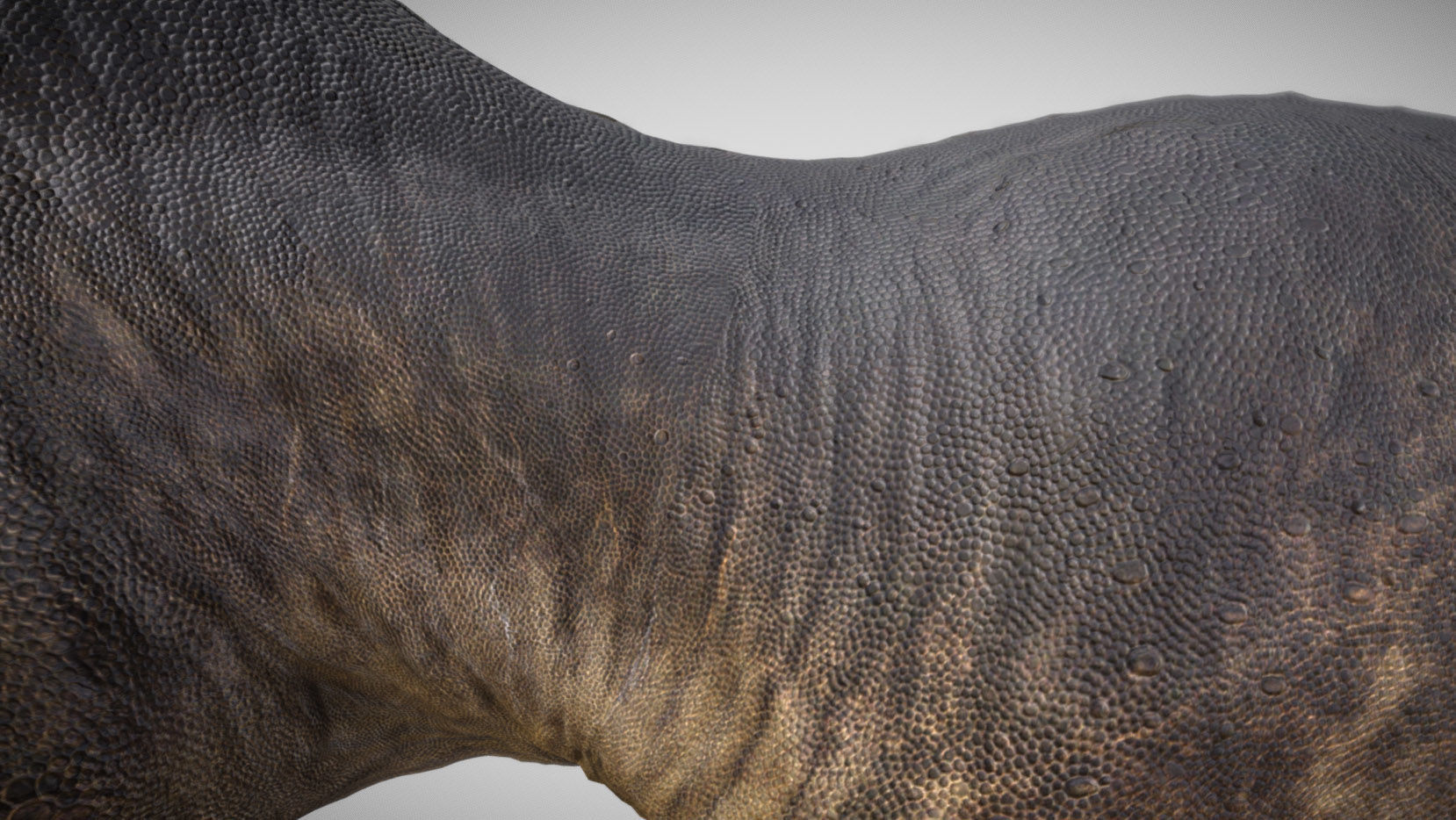 Tyrannosaurus rex Black Beauty Low-poly 3D model_4