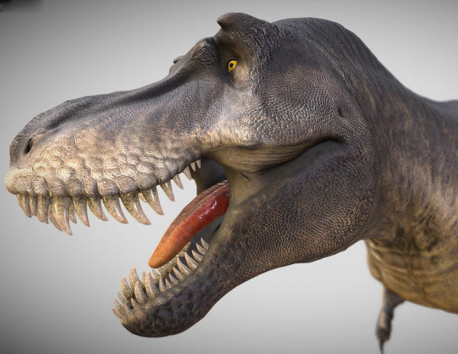 Tyrannosaurus rex Black Beauty Low-poly 3D model