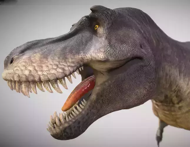 Tyrannosaurus rex Black Beauty Low-poly 3D model