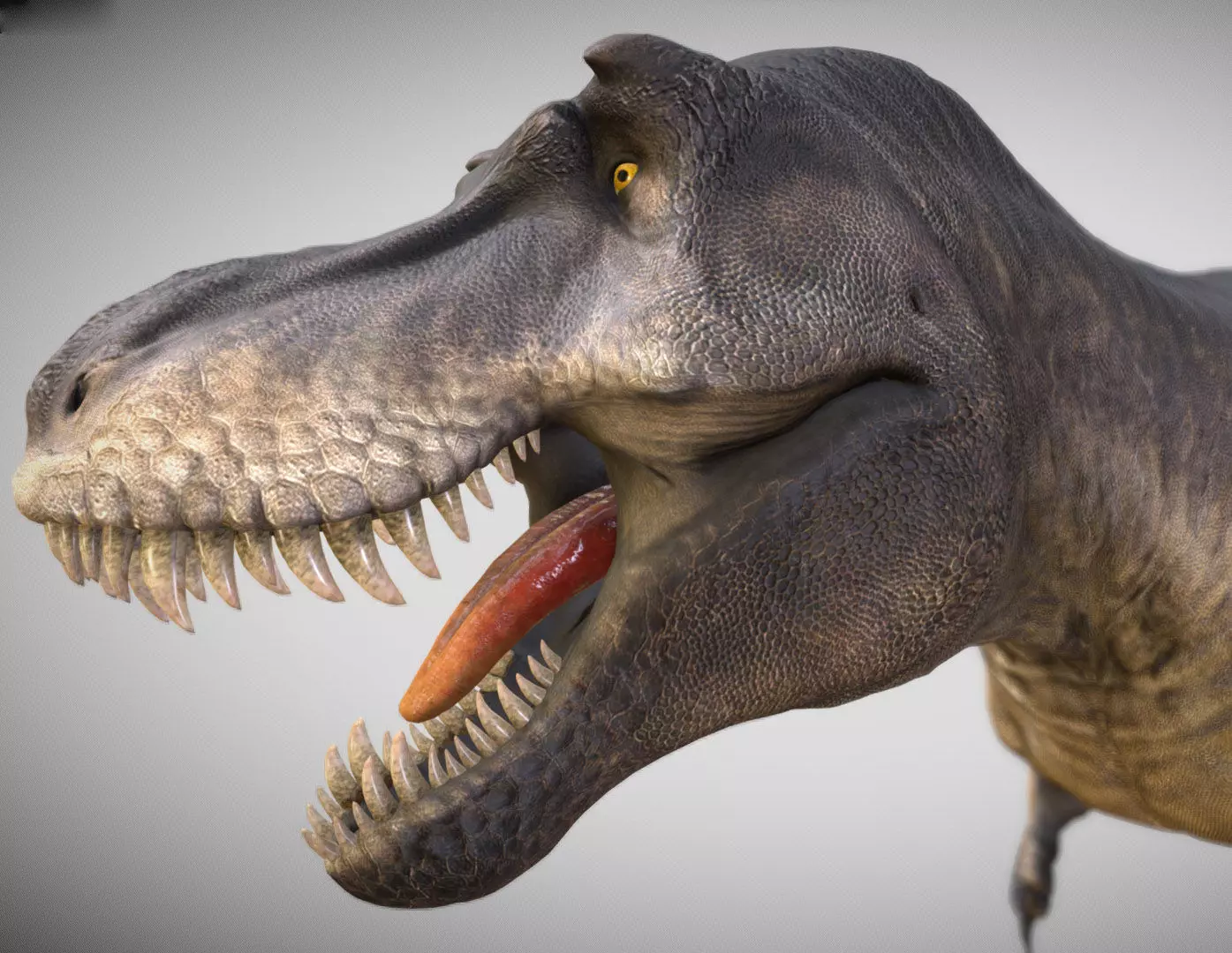 Tyrannosaurus rex Black Beauty Low-poly 3D model_0
