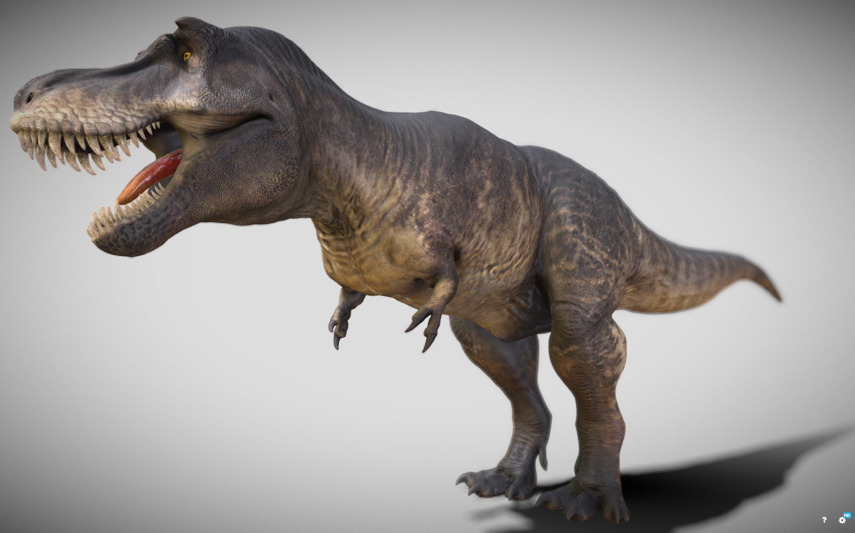 Tyrannosaurus rex Black Beauty Low-poly 3D model_2