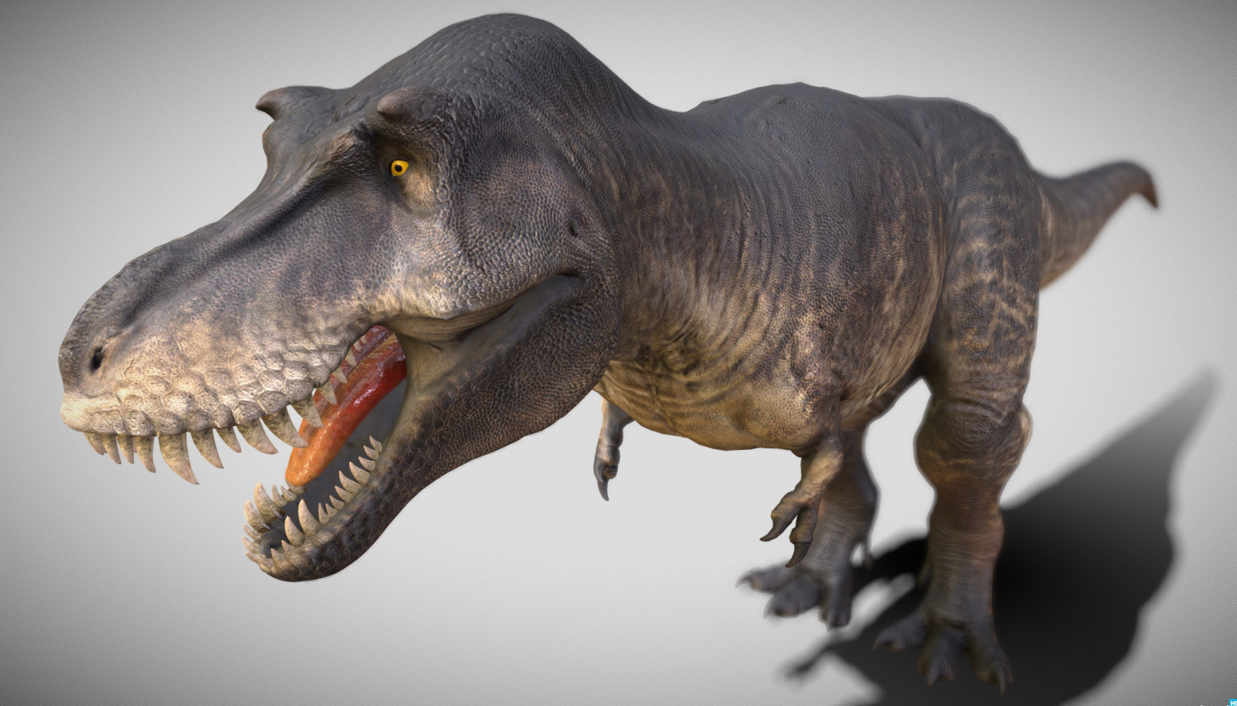 Tyrannosaurus rex Black Beauty Low-poly 3D model_7