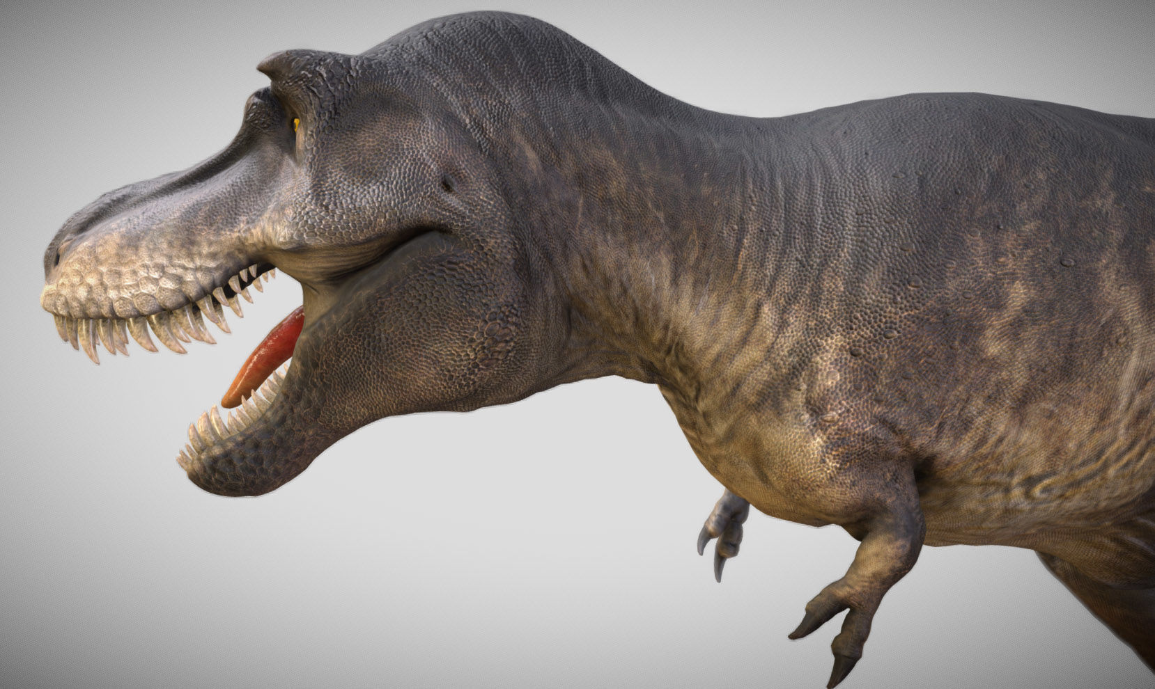 Tyrannosaurus rex Black Beauty Low-poly 3D model_6