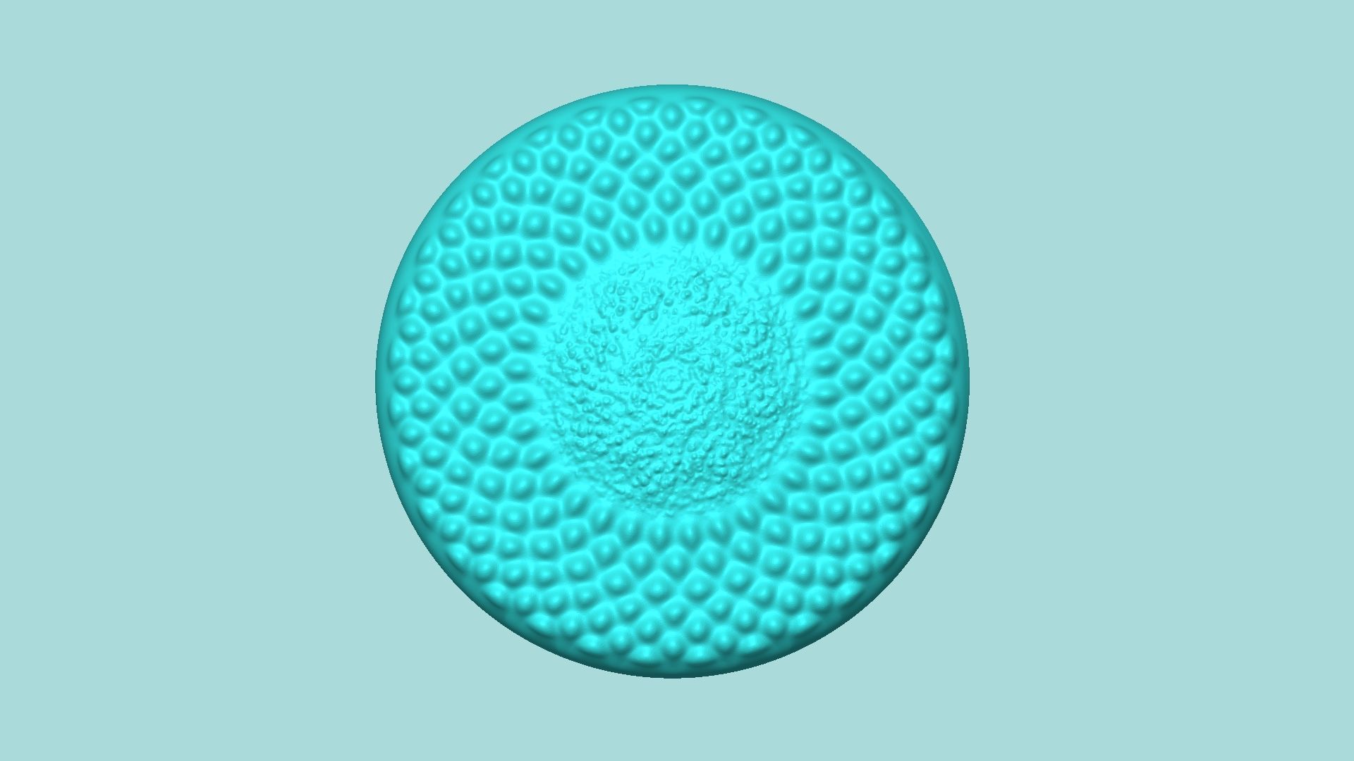 07 Sunflower Center Mold Collection - Silicone Maker - Template _32