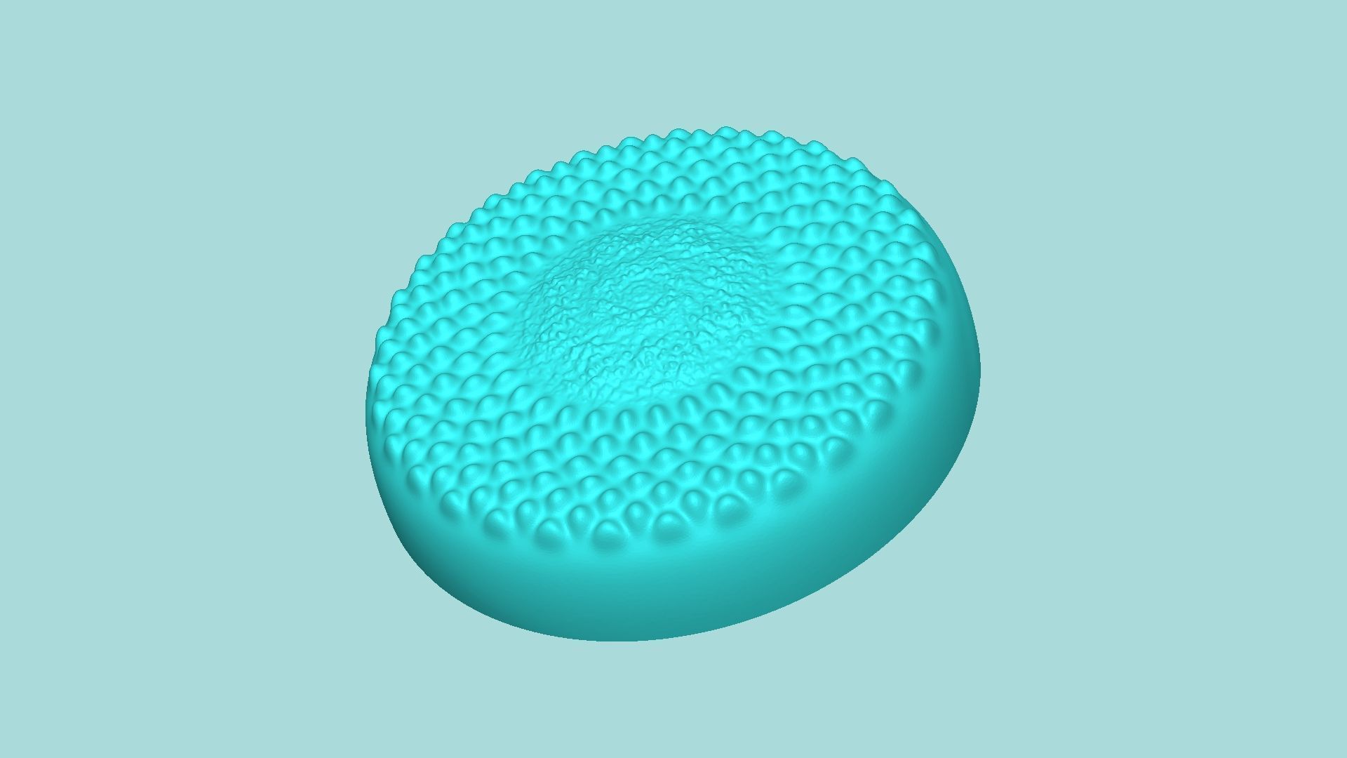 07 Sunflower Center Mold Collection - Silicone Maker - Template _33