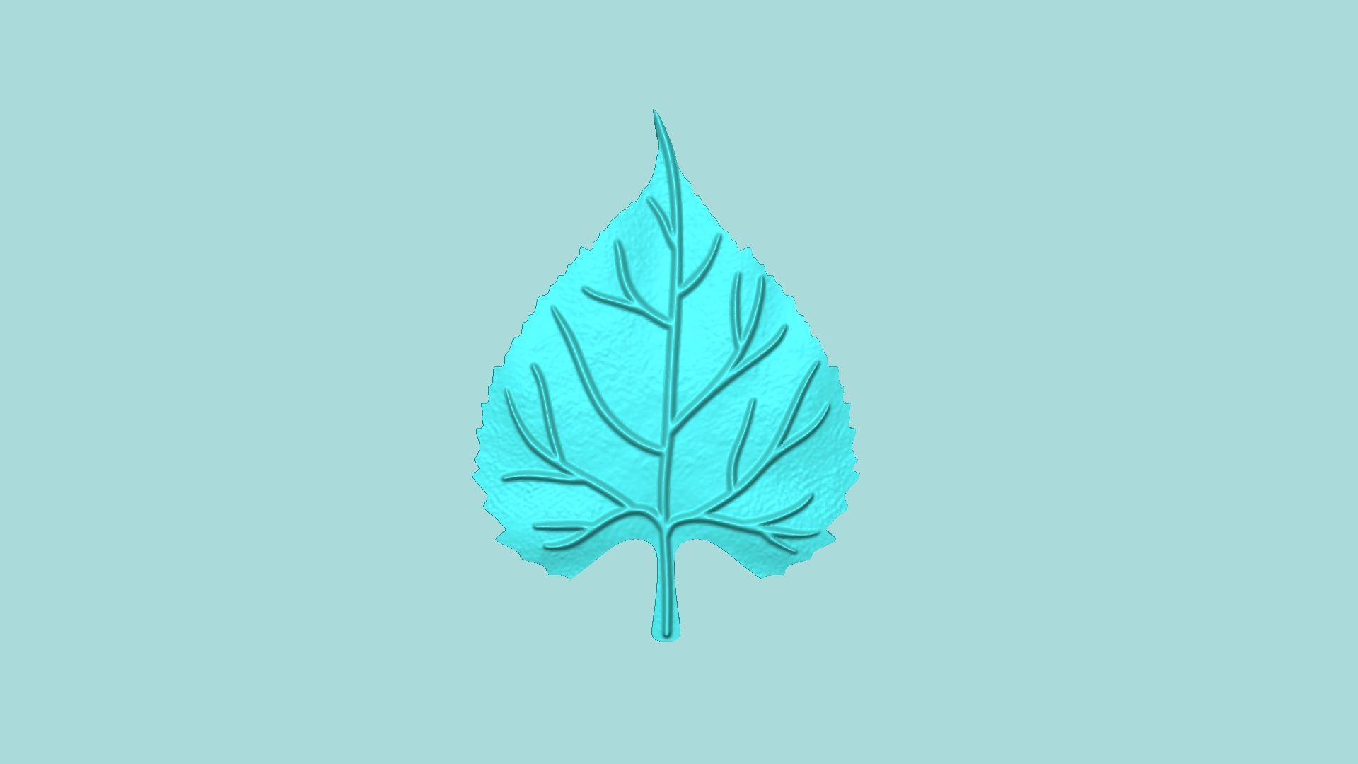 03 Sunflower Leaf Mold Collection - Silicone Maker - Template _20