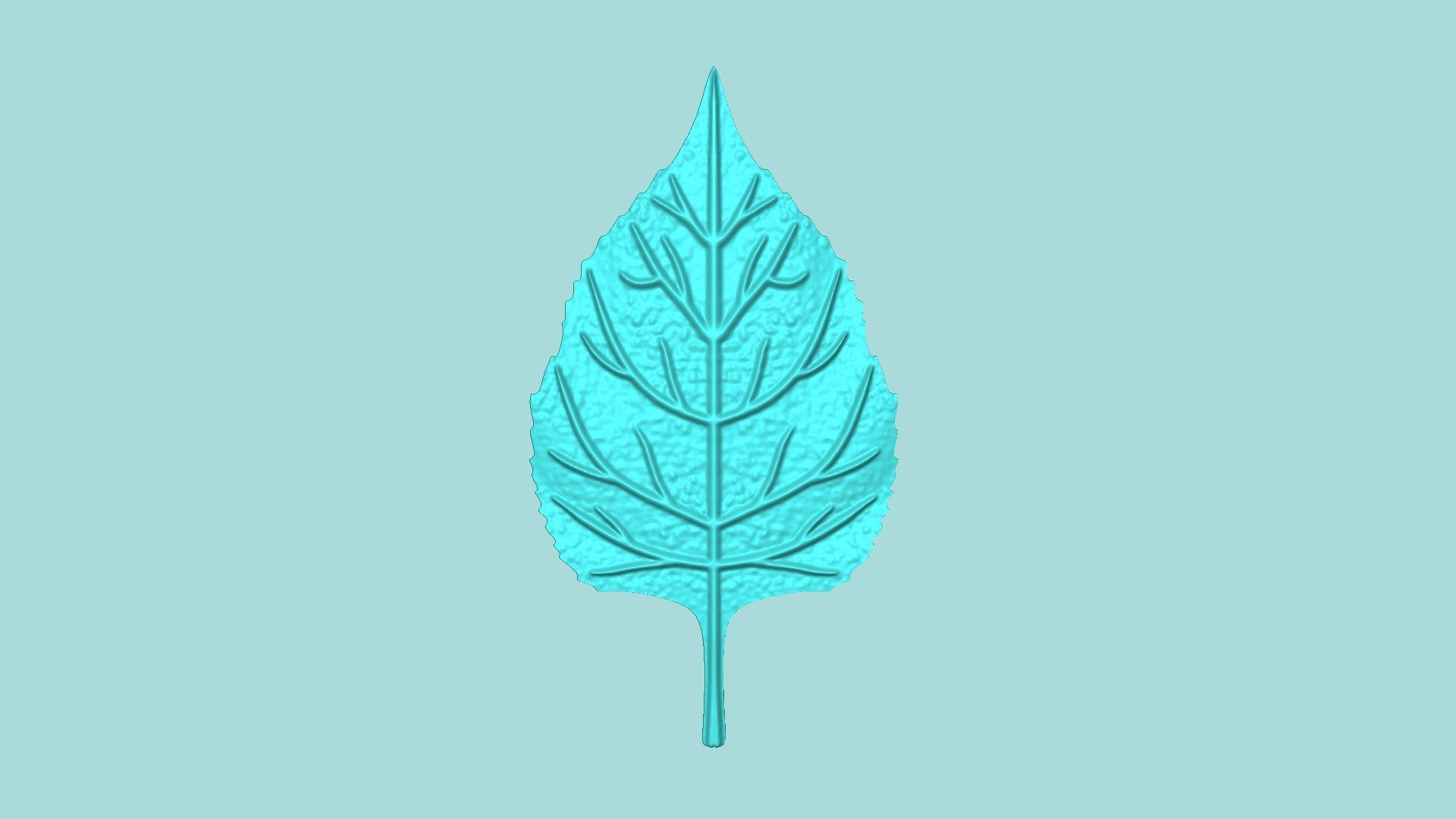 03 Sunflower Leaf Mold Collection - Silicone Maker - Template _4