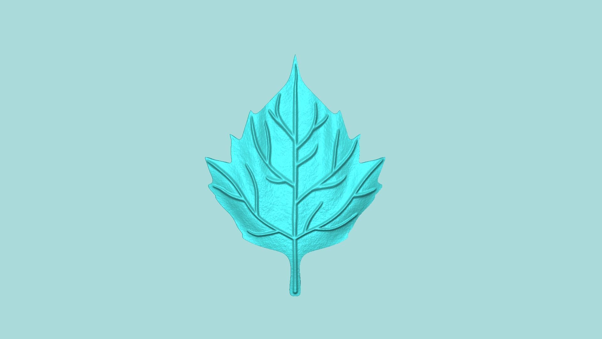 03 Sunflower Leaf Mold Collection - Silicone Maker - Template _12