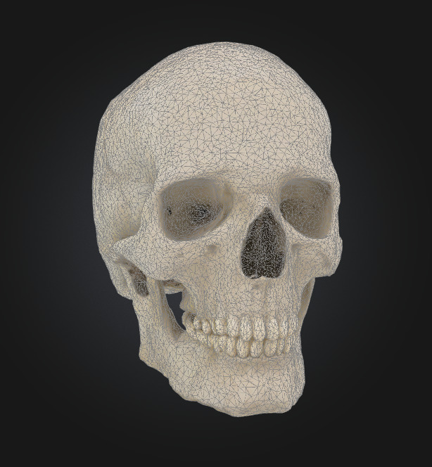 skull skeleton head halloween character 3D model_1