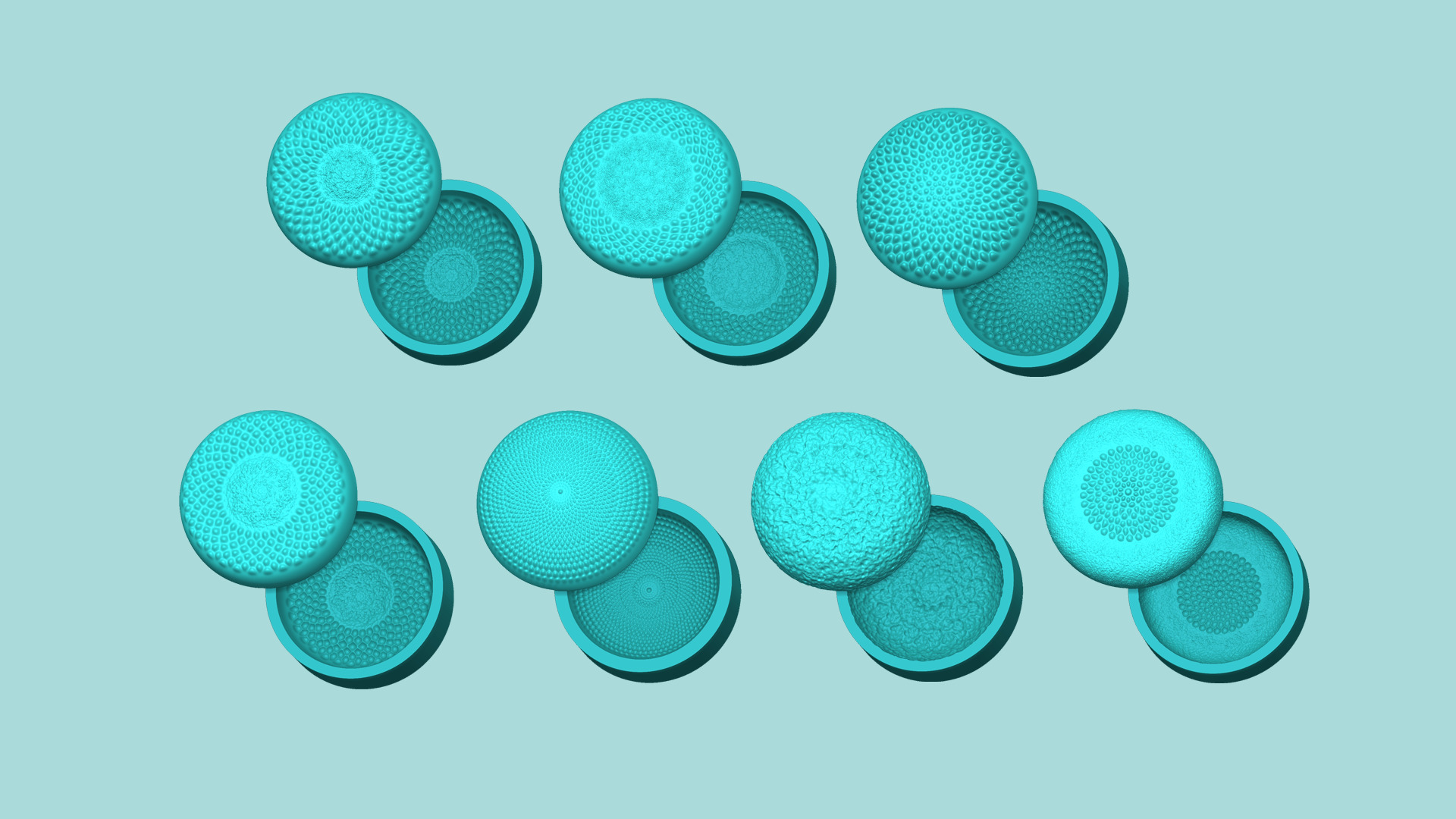 30 Sunflower Molds Pack - Silicone Maker - Template 3D Model Collection_1