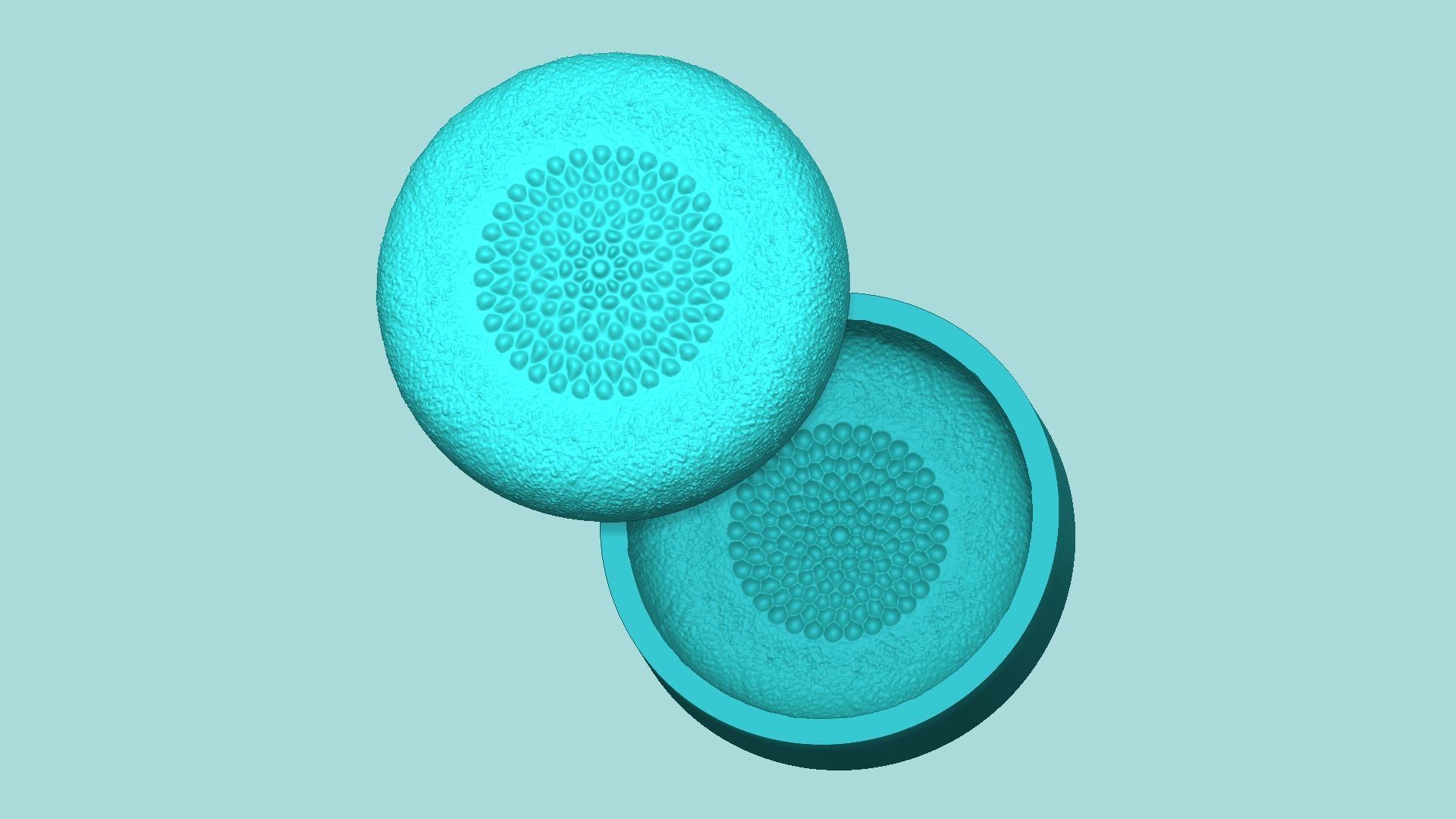 30 Sunflower Molds Pack - Silicone Maker - Template 3D Model Collection_10