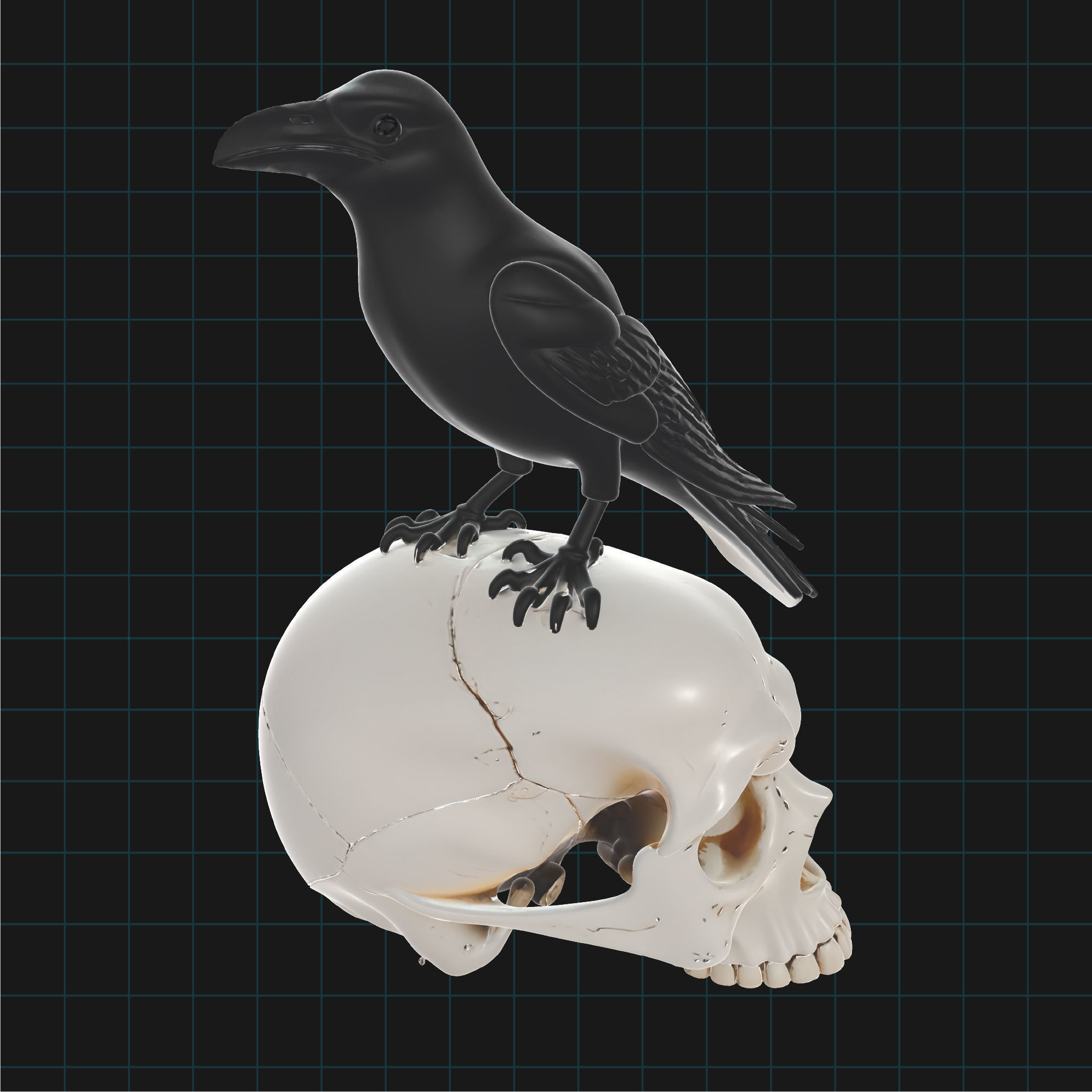 Raven and Skull Model Realistic Gothic Bird on Human Skull 3D model_2