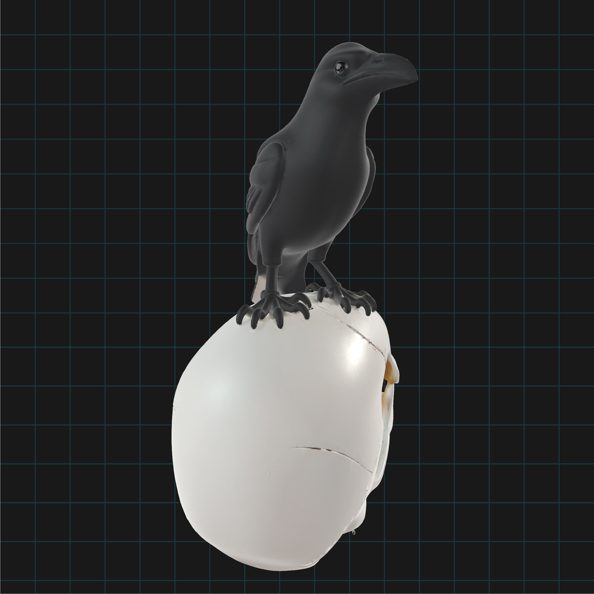 Raven and Skull Model Realistic Gothic Bird on Human Skull 3D model_1