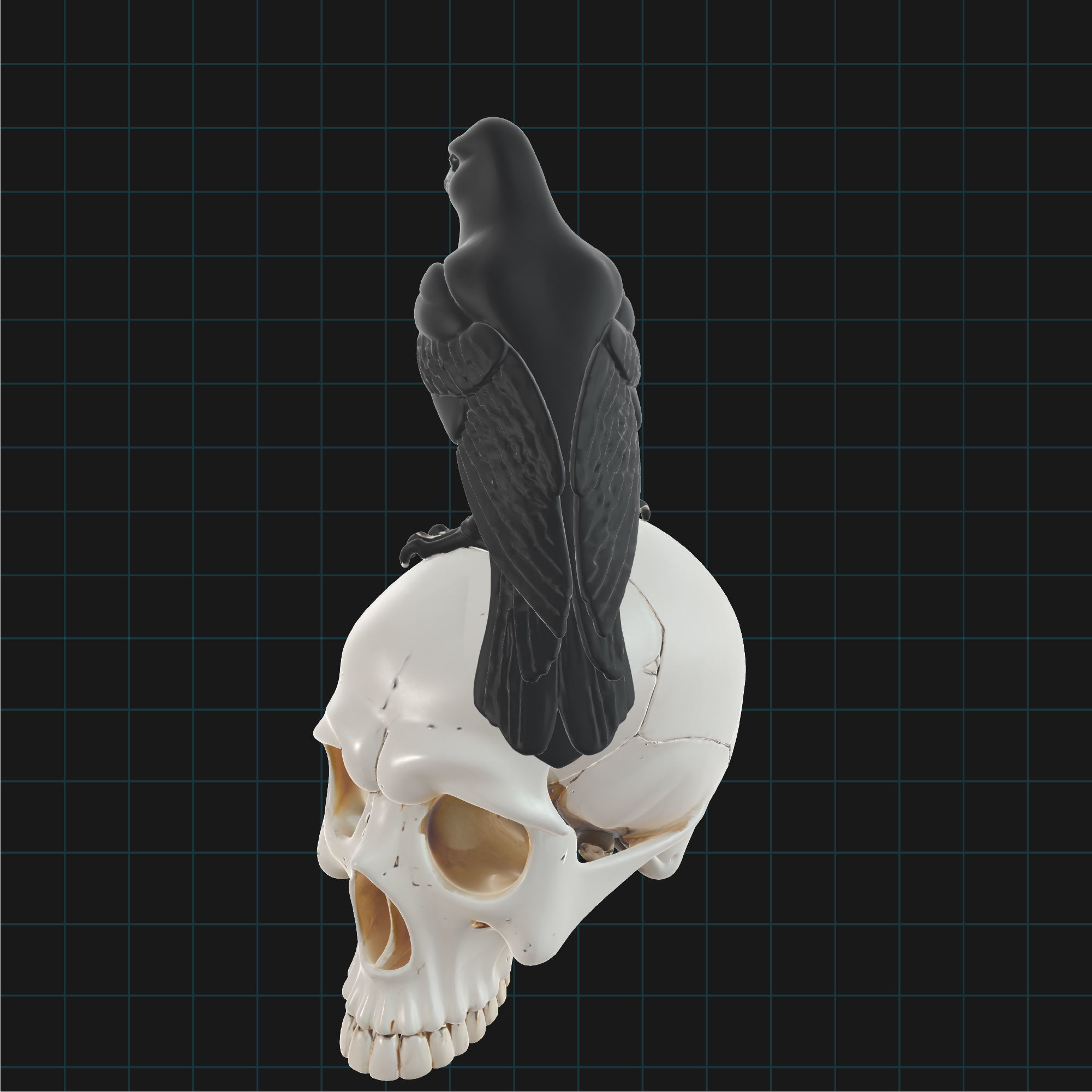 Raven and Skull Model Realistic Gothic Bird on Human Skull 3D model_4