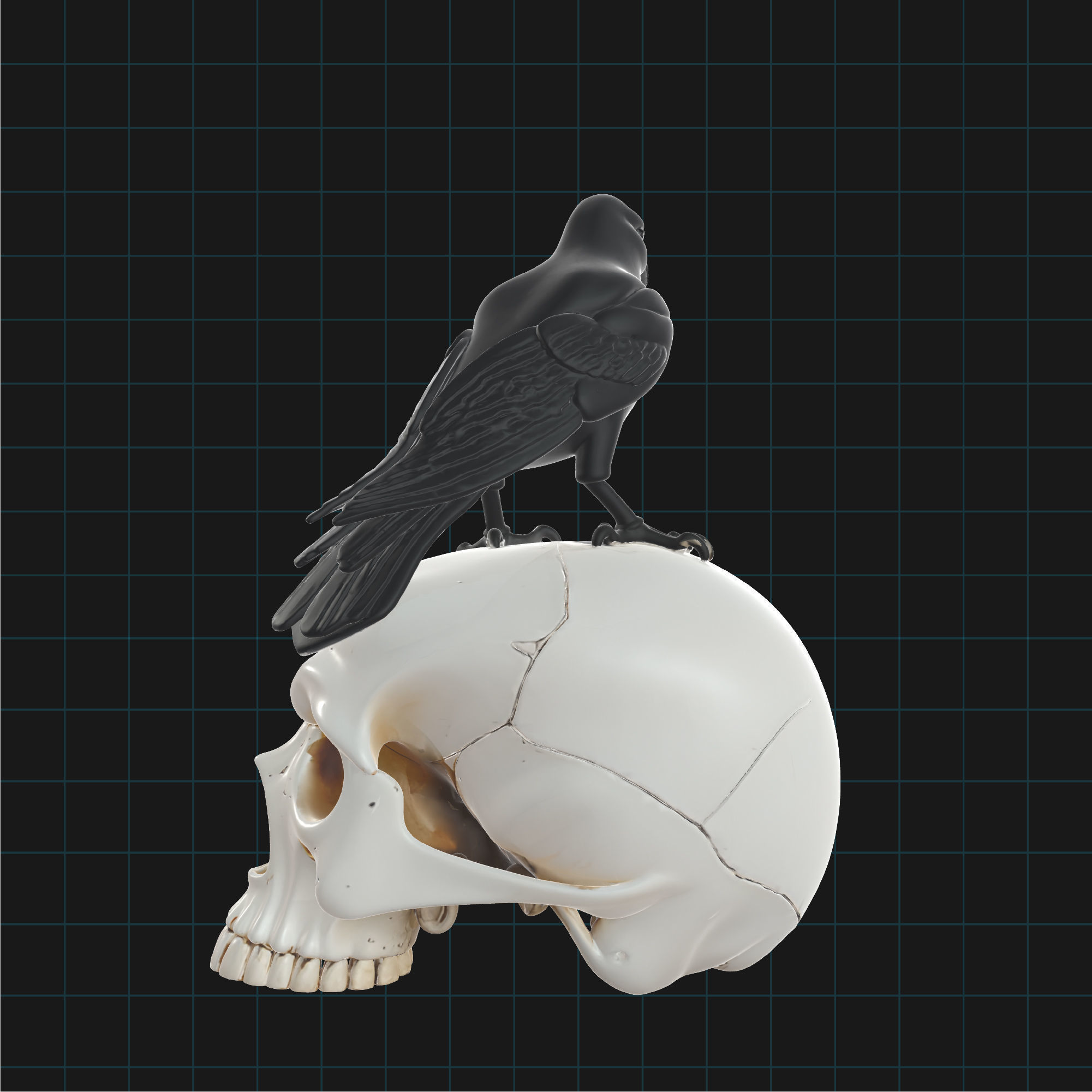 Raven and Skull Model Realistic Gothic Bird on Human Skull 3D model_3