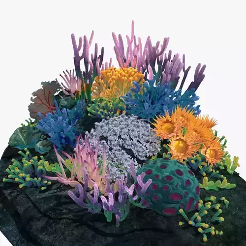 Coral reef 3D model