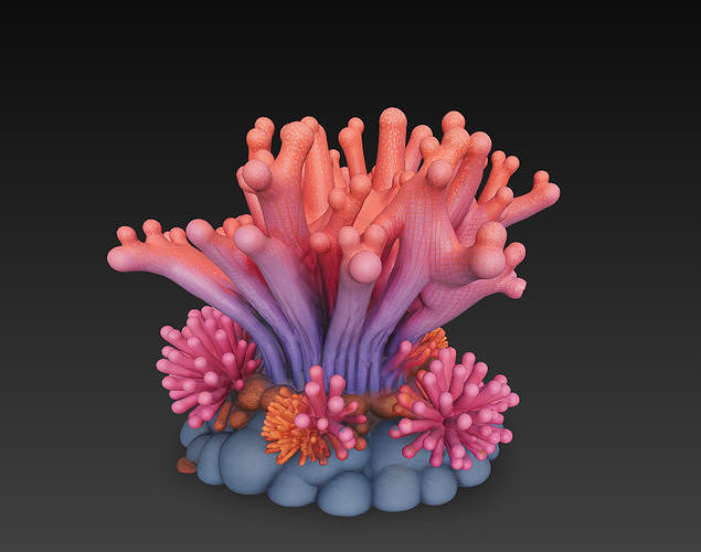 Reef Coral Realistic 3D Model Basic - Low Poly Realistic Low-poly 3D model