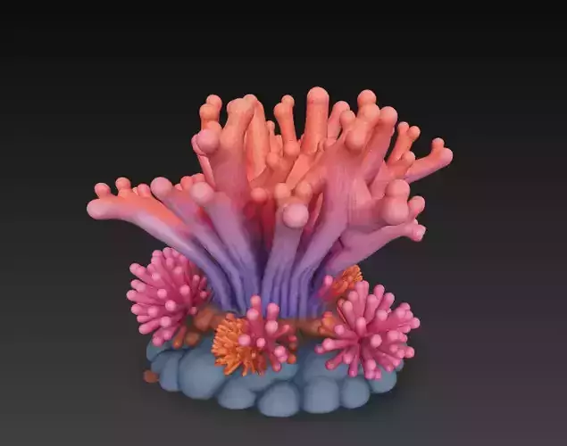 Reef Coral Realistic 3D Model Basic - Low Poly Realistic