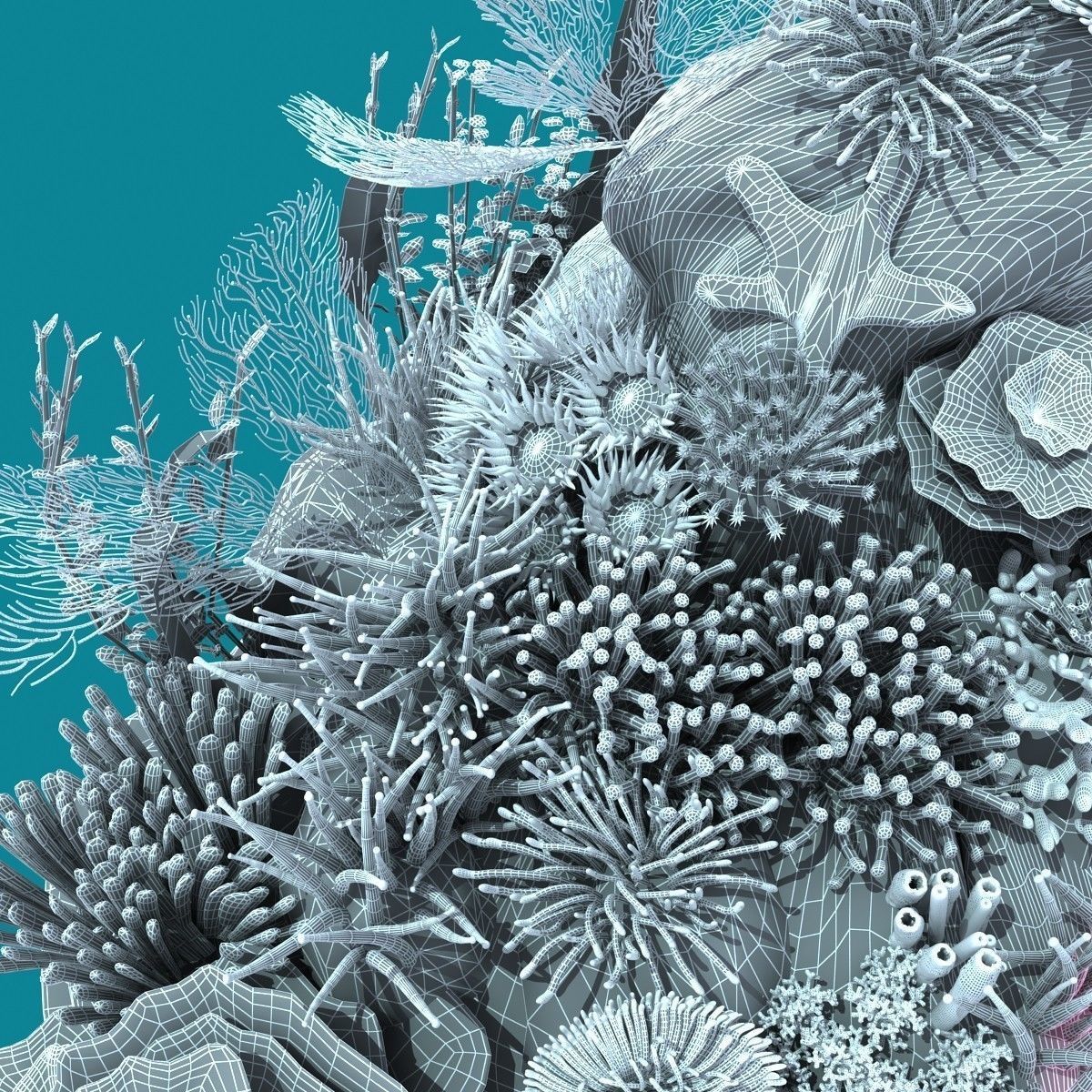 Coral corals and plants on rock 3D model_17