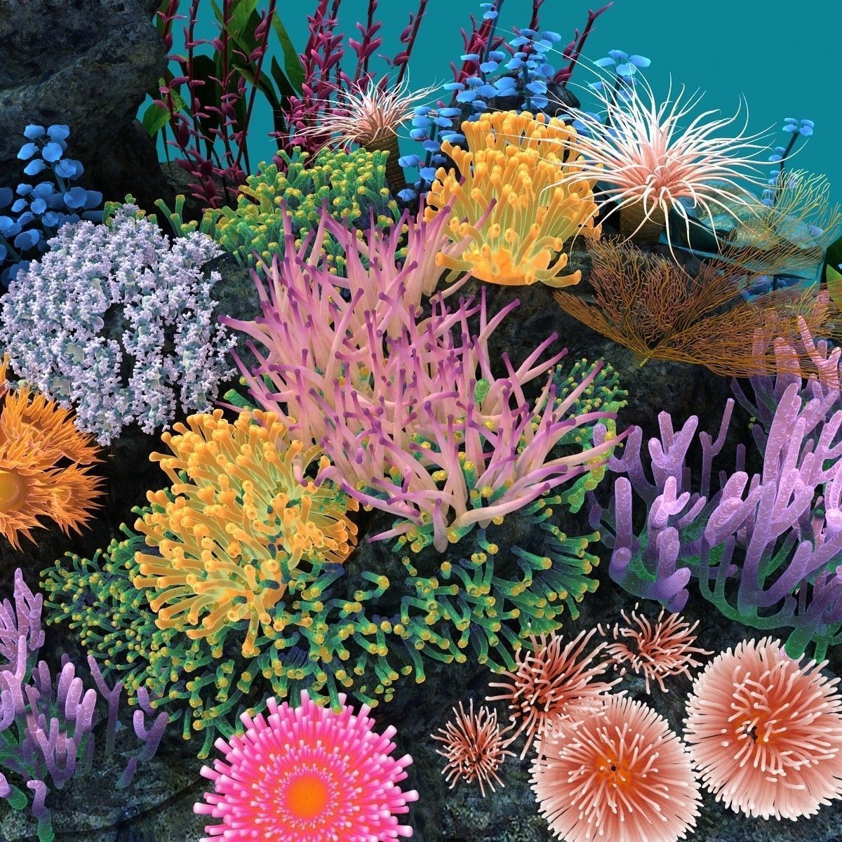 Coral corals and plants on rock 3D model_21