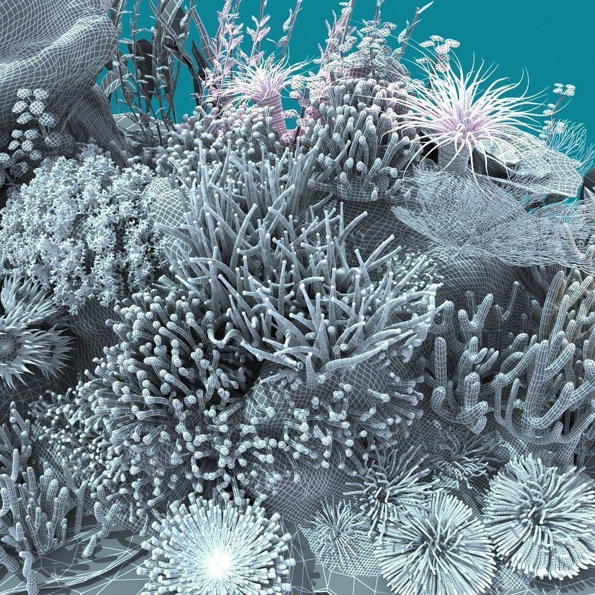 Coral corals and plants on rock 3D model_20