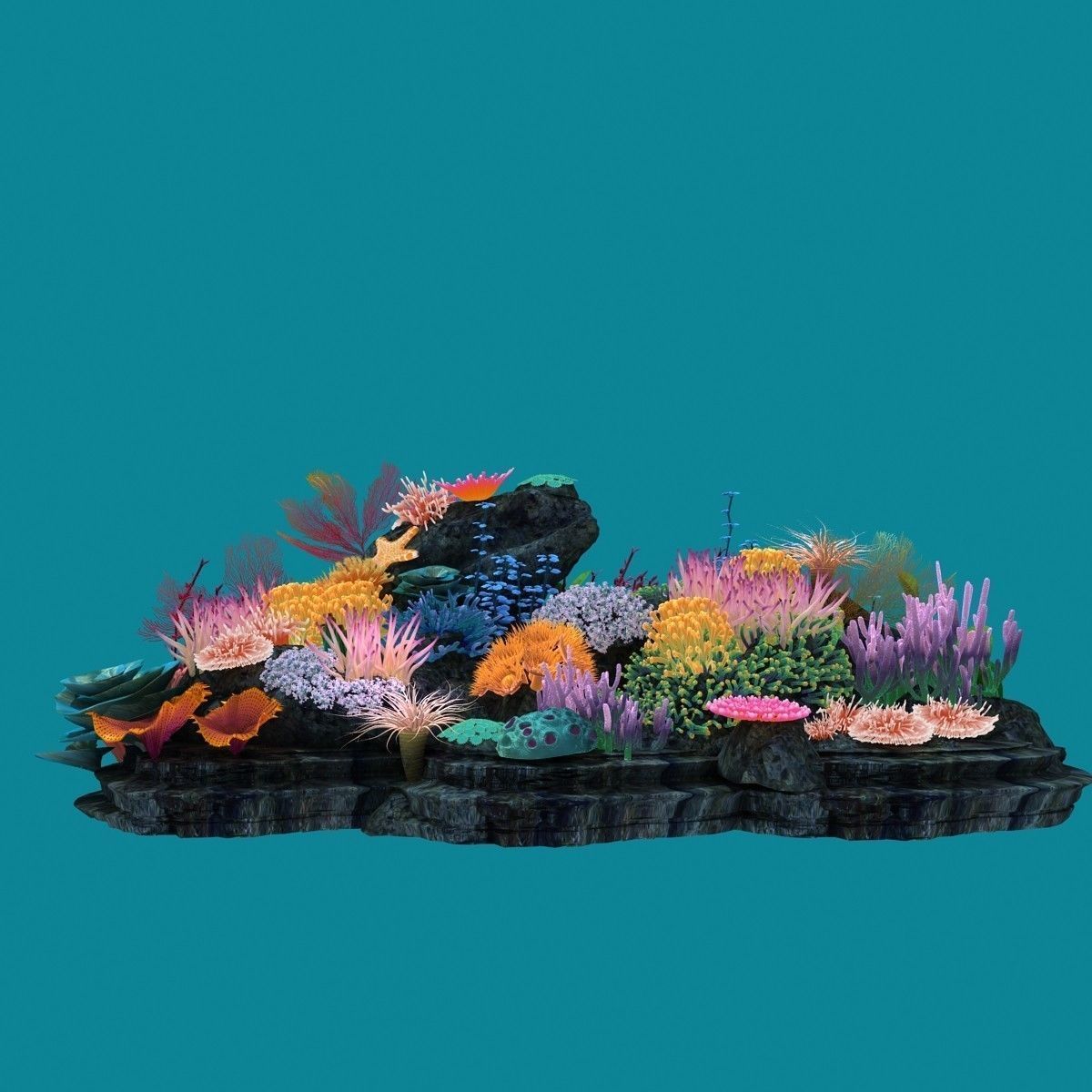 Coral corals and plants on rock 3D model_19