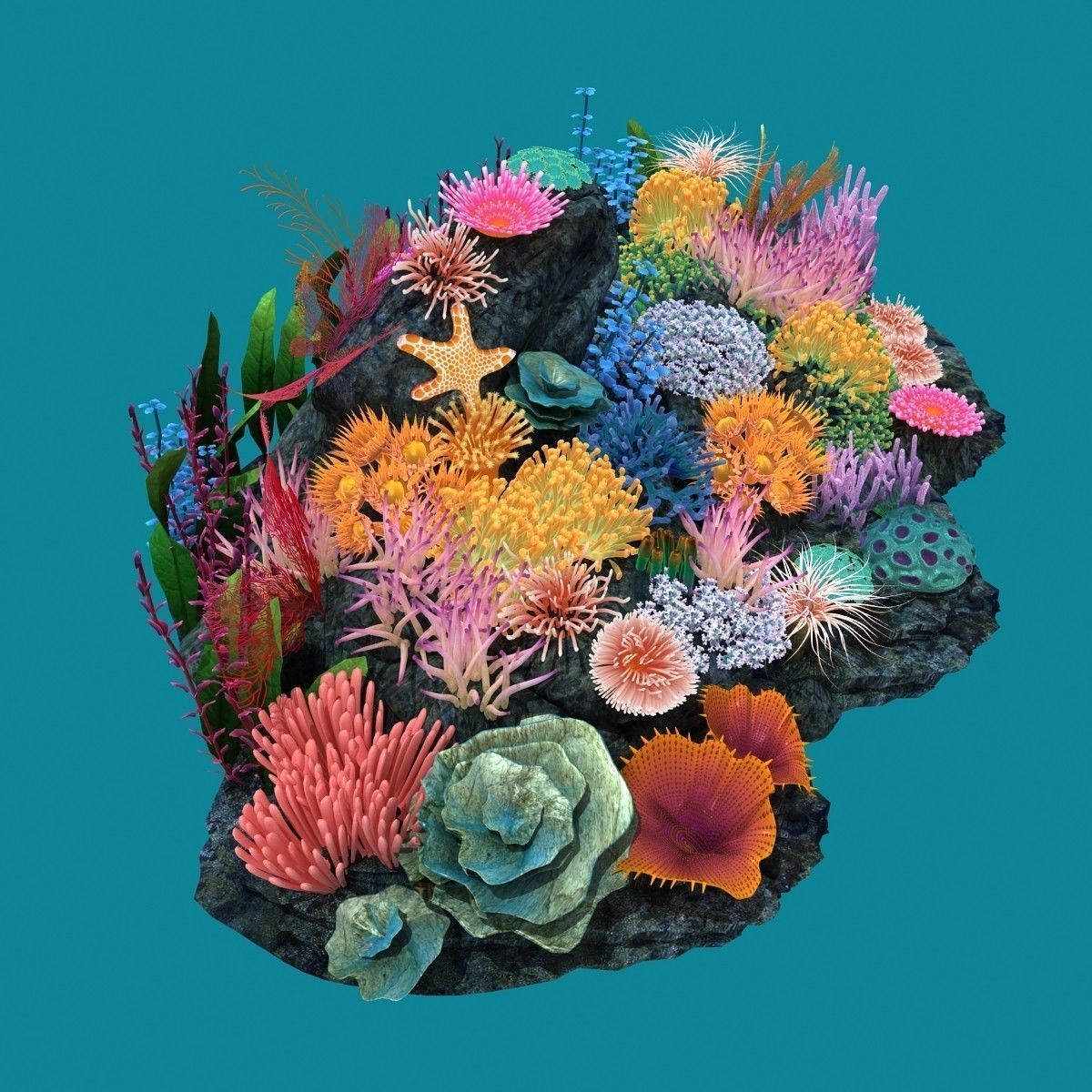 Coral corals and plants on rock 3D model_11