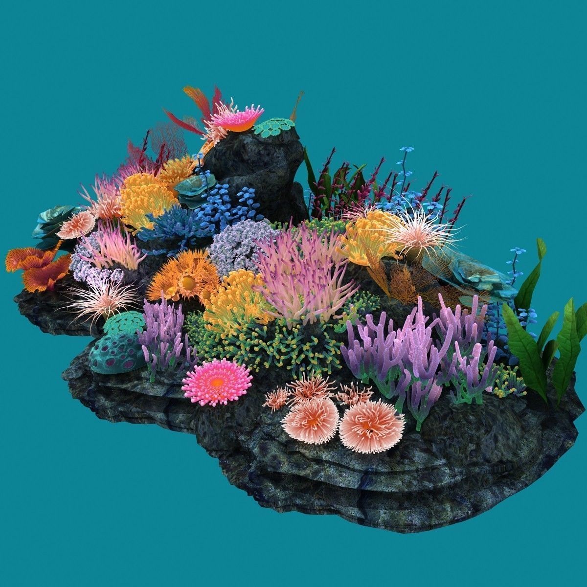 Coral corals and plants on rock 3D model_4