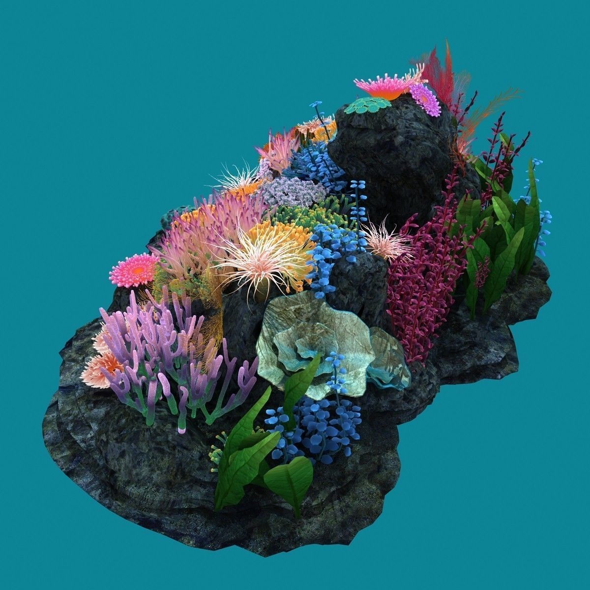 Coral corals and plants on rock 3D model_6