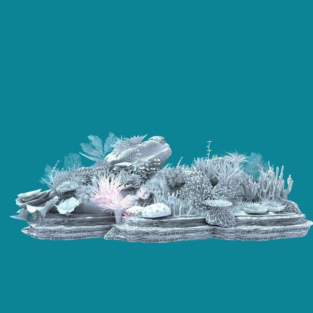 Coral corals and plants on rock 3D model_18