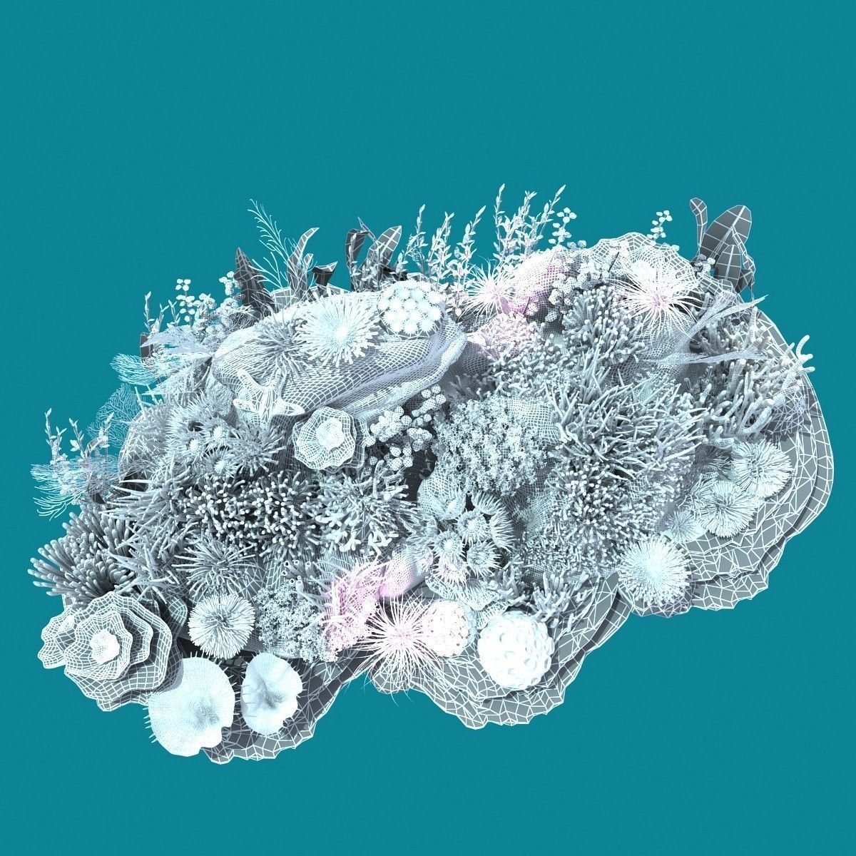Coral corals and plants on rock 3D model_12