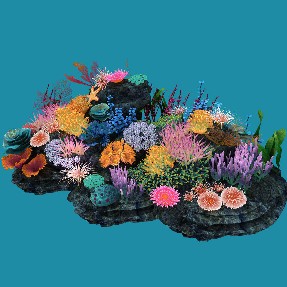 Coral corals and plants on rock 3D model_3