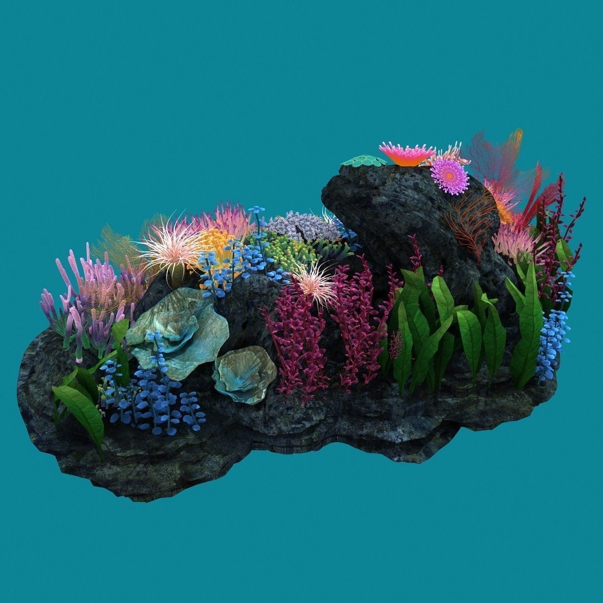 Coral corals and plants on rock 3D model_7