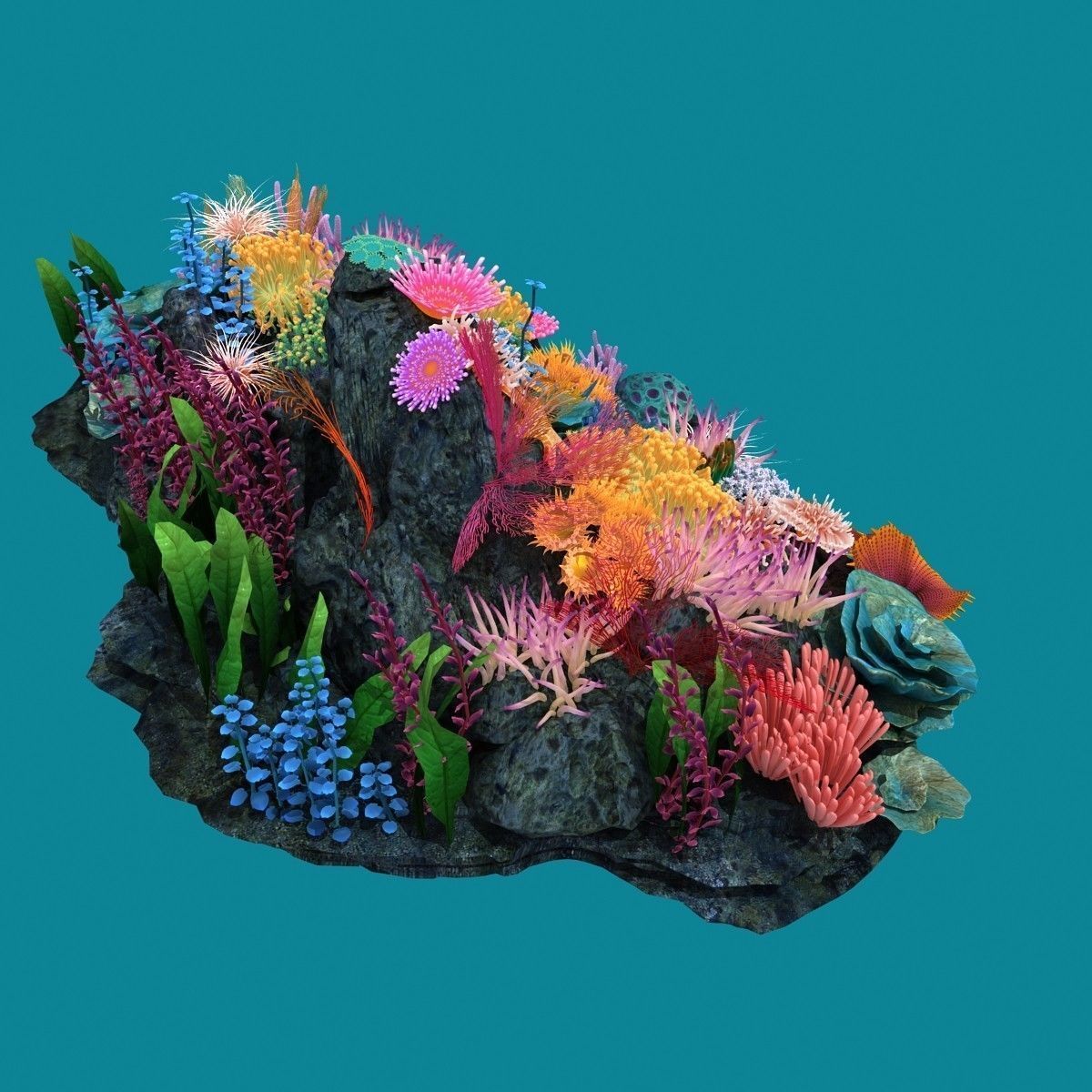 Coral corals and plants on rock 3D model_8
