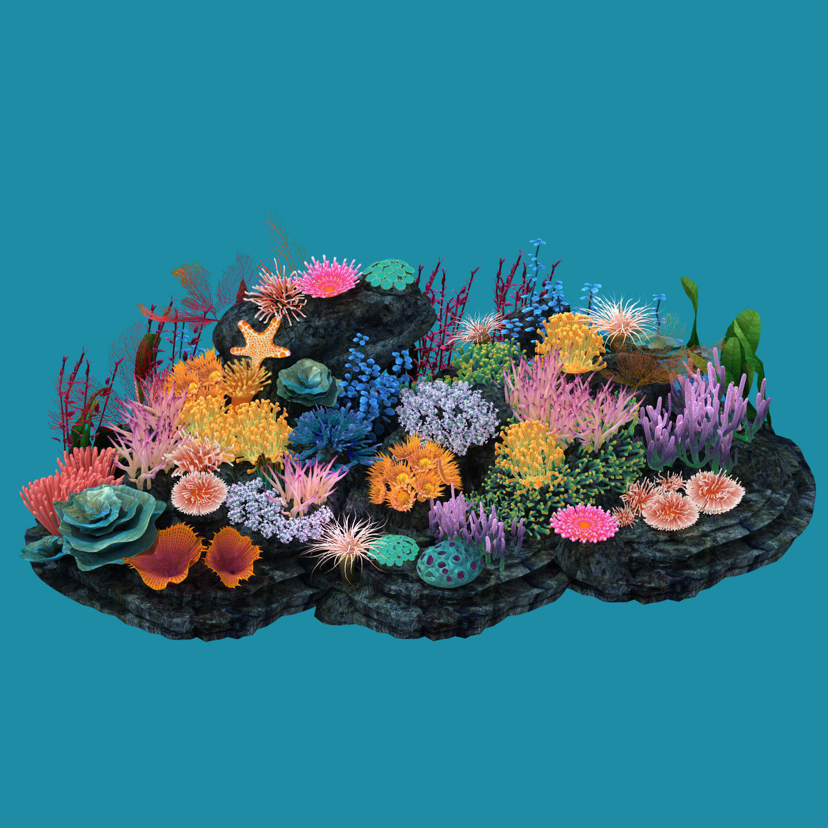 Coral corals and plants on rock 3D model_14