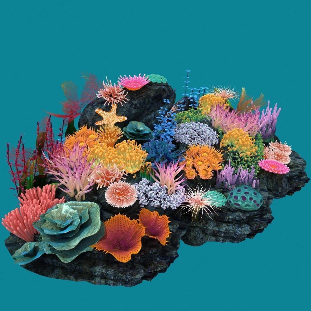 Coral corals and plants on rock 3D model_10